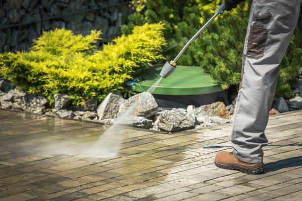 Best Sidewalk and Walkway Cleaning  in Point, TX