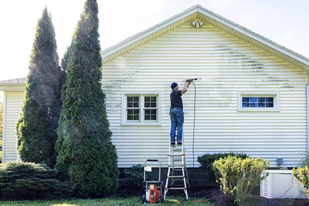 Best Patio and Deck Pressure Washing  in Point, TX